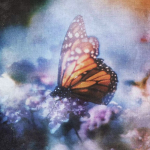 国产精产国品tv在线看
