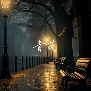 国产精产国品tv在线看
