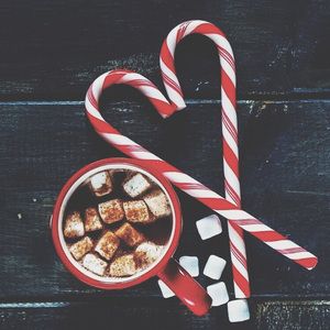 国产精产国品tv在线看
